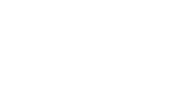 VSFS