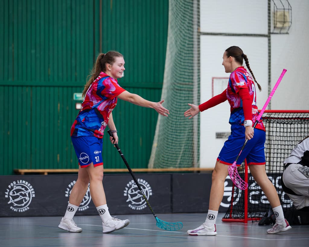 Ženy čeká výjezd do Chomutova